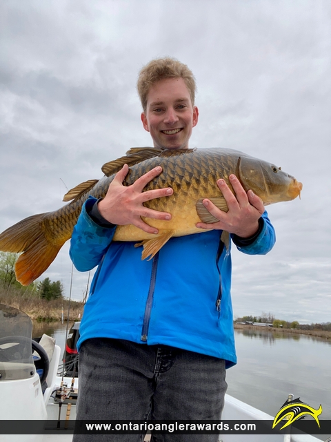 37" Carp caught on St. Lawrence River