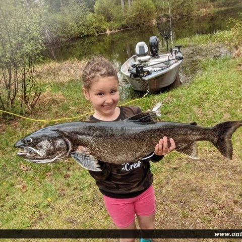 29" Lake Trout caught on Round Lake