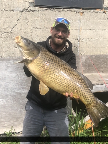 38" Carp caught on Wellers Bay