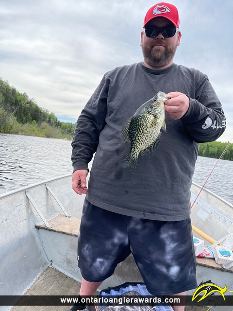 13" Black Crappie caught on Wabaskang Lake