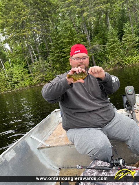 9" Pumpkinseed caught on Ruby Lake
