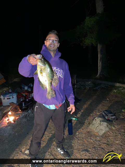 15" Black Crappie caught on Lower Buckhorn Lake 