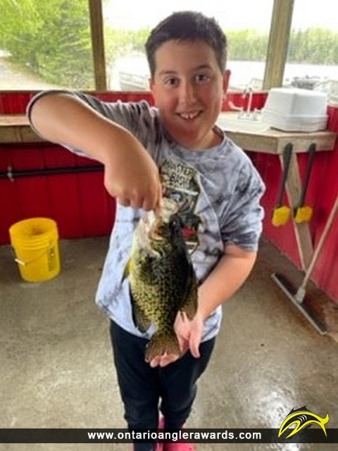12" Black Crappie caught on Perrault Lake
