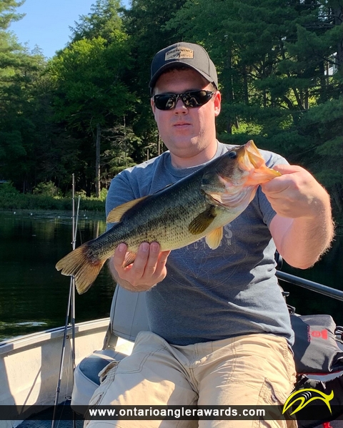 18.5" Largemouth Bass caught on Walker Lake