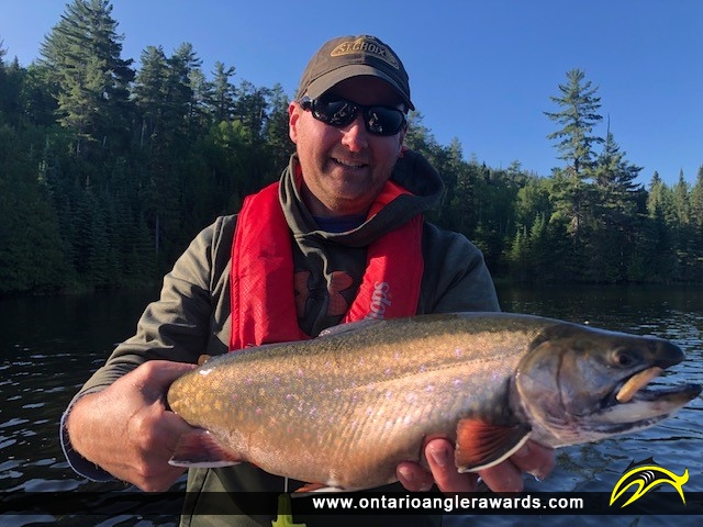 23" Brook/Speckled Trout caught on Secret