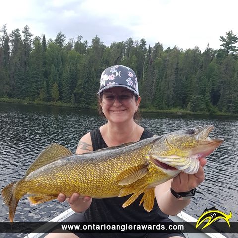 27.5" Walleye caught on Clearwater Lake