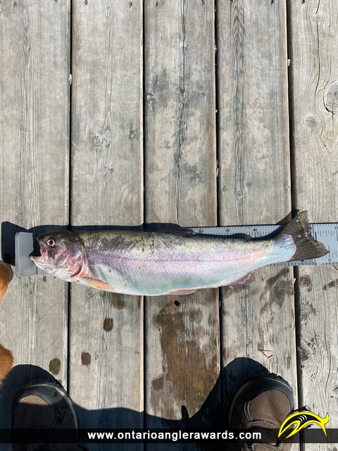 21" Rainbow Trout caught on Purcy Lake
