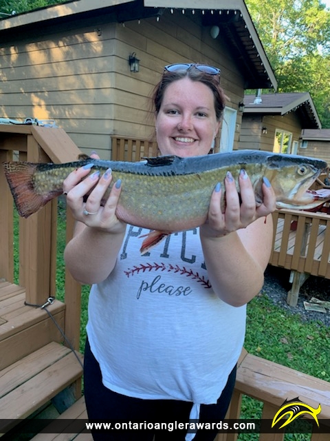 22" Brook/Speckled Trout caught on Halls Lake
