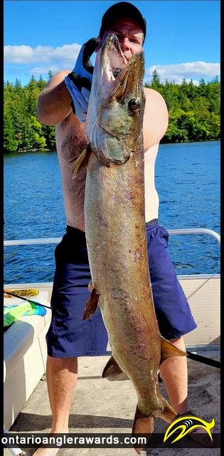 54" Muskie caught on Pigeon Lake