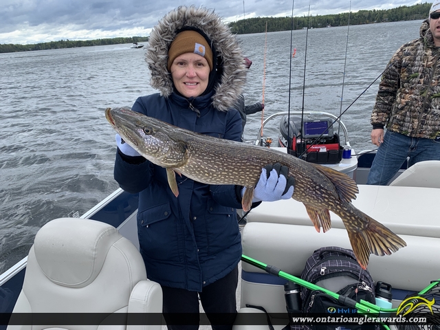 34" Northern Pike caught on Clearwater Bay 