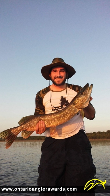 33" Northern Pike caught on Ottawa River