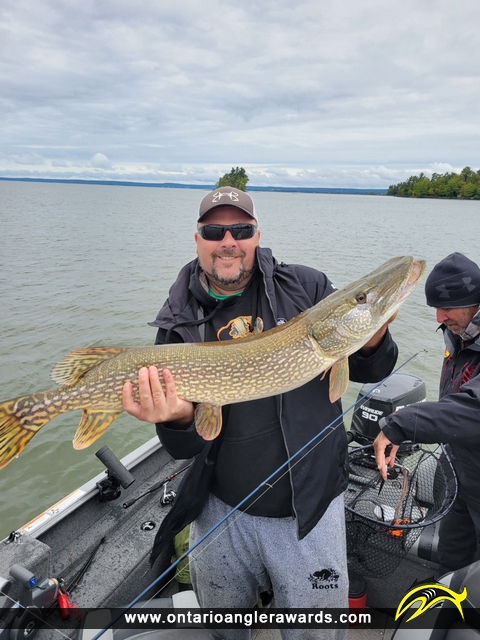 39" Northern Pike caught on Lake Nipissing 