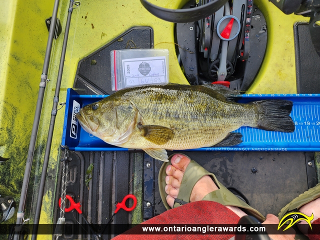 18" Largemouth Bass caught on Sturgeon Lake