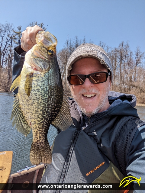 15.5" Black Crappie caught on Pinehurst Lake