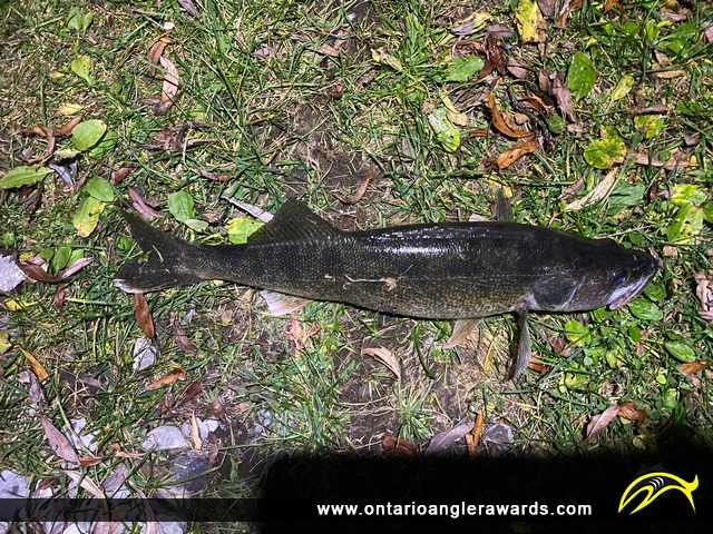 25" Walleye caught on Rice Lake