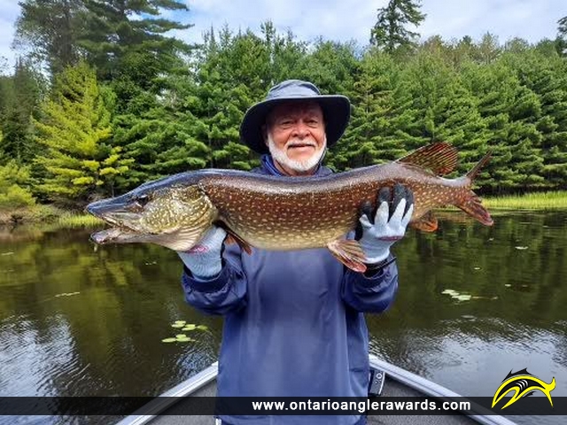 39" Northern Pike caught on Sand Point Lake
