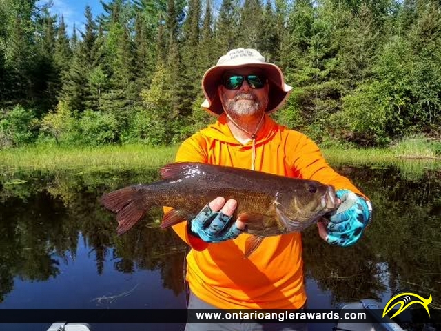 19" Smallmouth Bass caught on Red Horse River