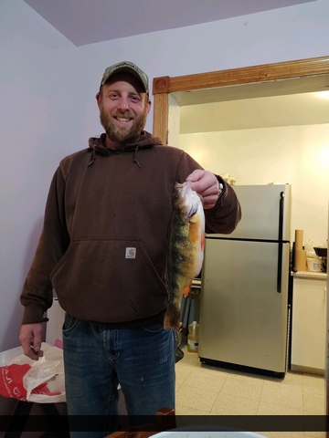 14" Yellow Perch caught on Lake Simcoe