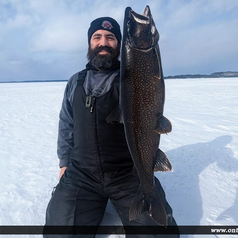 27" Lake Trout caught on Wanapitae