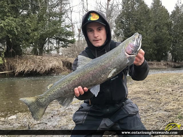 28.25" Rainbow Trout caught on Oshawa Creek