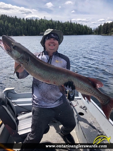50" Muskie caught on Winnipeg River 