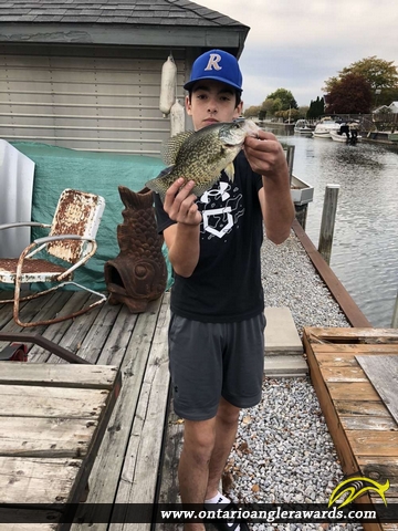 14" Black Crappie caught on Detroit River