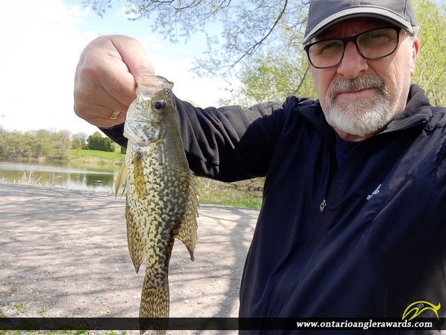 10" Black Crappie caught on Mud Lake 