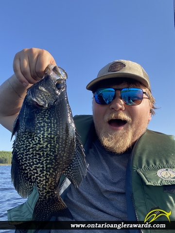 14.5" Black Crappie caught on Ahmic Lake