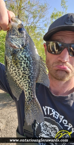 10" Black Crappie caught on Westminster Ponds
