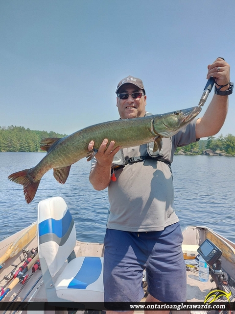 36" Muskie caught on Turtle Lake