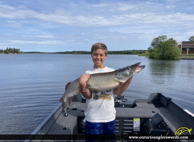 50" Muskie caught on Winnipeg River 