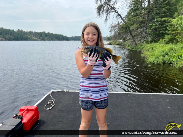 13" Yellow Perch caught on Macara