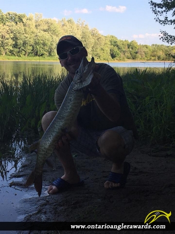 40" Muskie caught on Moira River