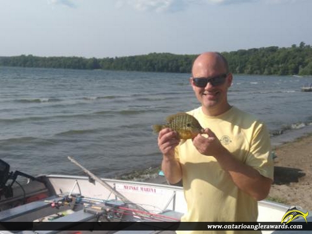9.0" Pumpkinseed caught on Bright Lake