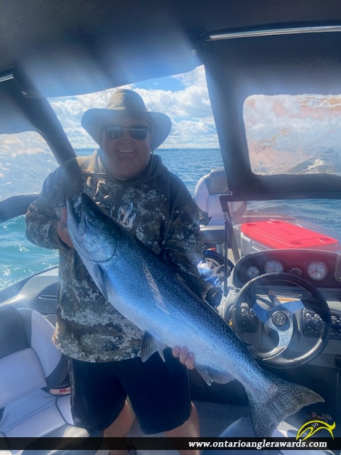36" Chinook Salmon caught on Lake Ontario