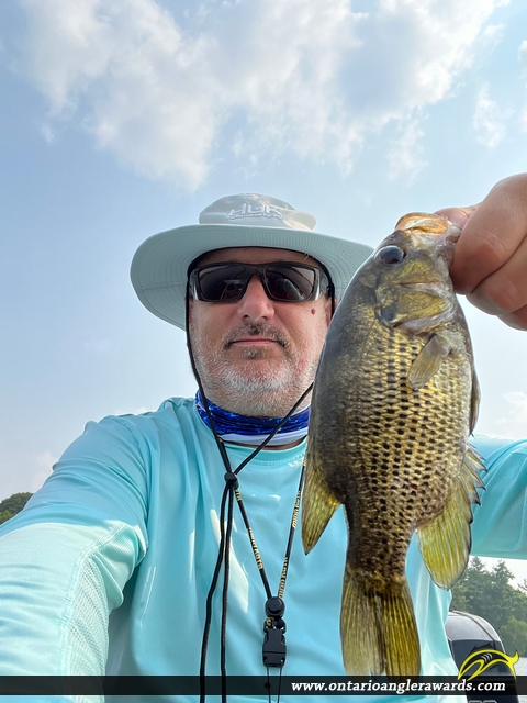 10" Rock Bass caught on Gloucester Pool