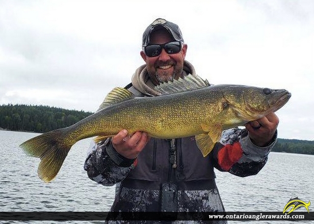 29.8" Walleye caught on Wabaskang Lake