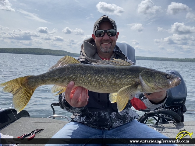 26" Walleye caught on Wabaskang Lake