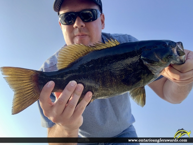 18" Smallmouth Bass caught on Lake Timiskaming