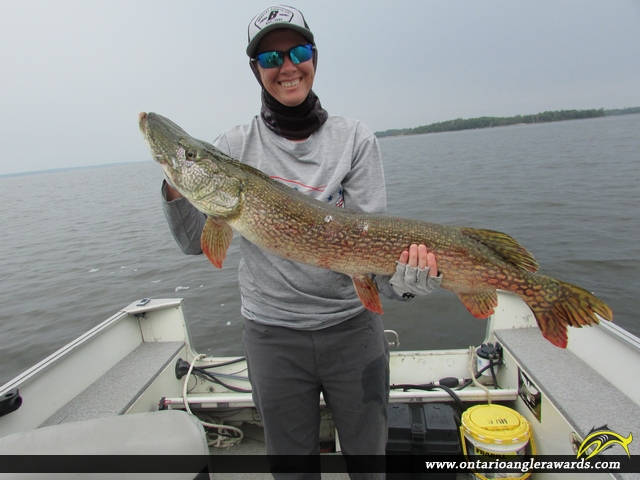 41" Northern Pike caught on Lake of the Woods