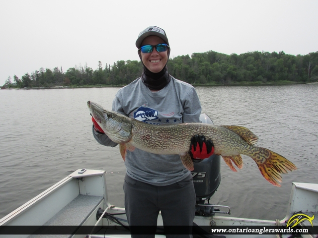36" Northern Pike caught on Lake of the Woods