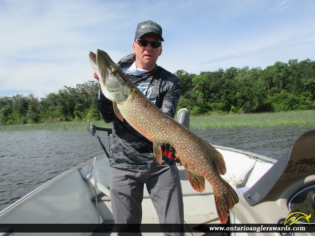 34" Northern Pike caught on Lake of the Woods