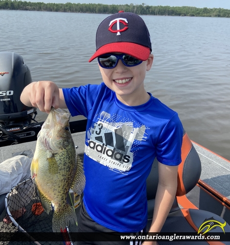 14" Black Crappie caught on Lake of the Woods