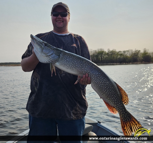 42" Northern Pike caught on Lake of the Woods