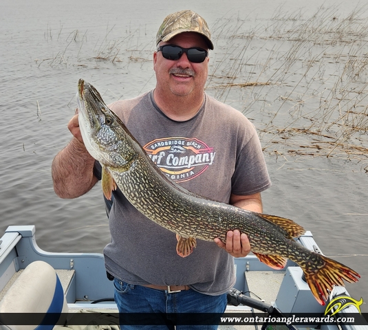 38" Northern Pike caught on Lake of the Woods
