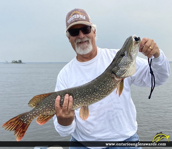 32" Northern Pike caught on Lake of the Woods