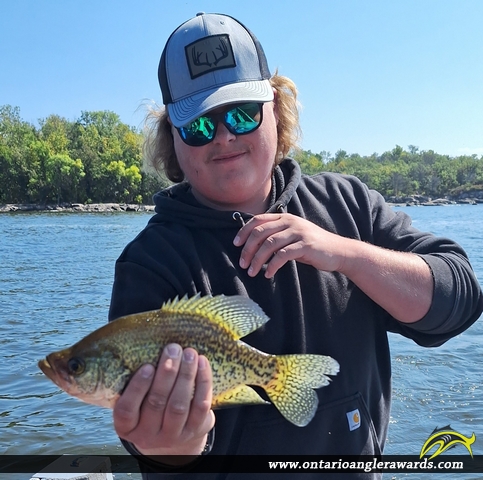 12" Black Crappie caught on Lake of the Woods