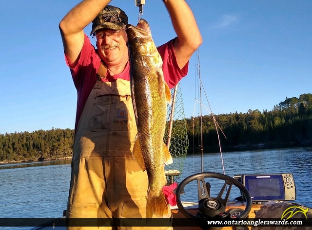 29" Walleye caught on Gun Lake