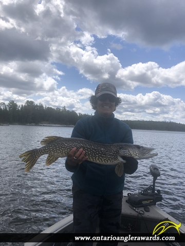 33" Northern Pike caught on Winnipeg River 