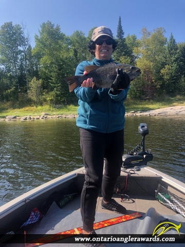 17.75" Smallmouth Bass caught on Winnipeg River 